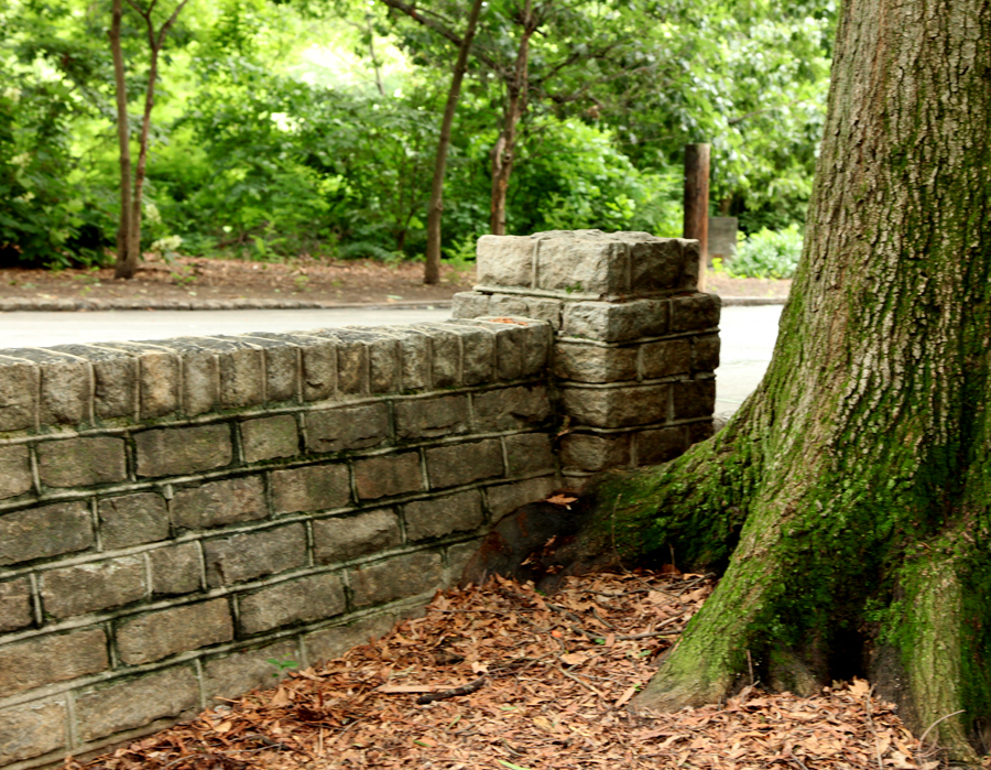 © Bentley Photgraphy, Winder, GA